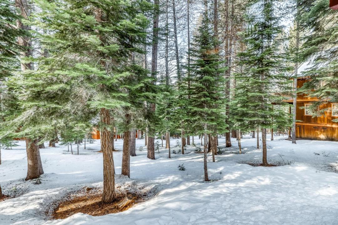 Photo of Others in Truckee