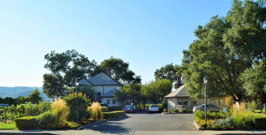 Photo of Others in St. Helena