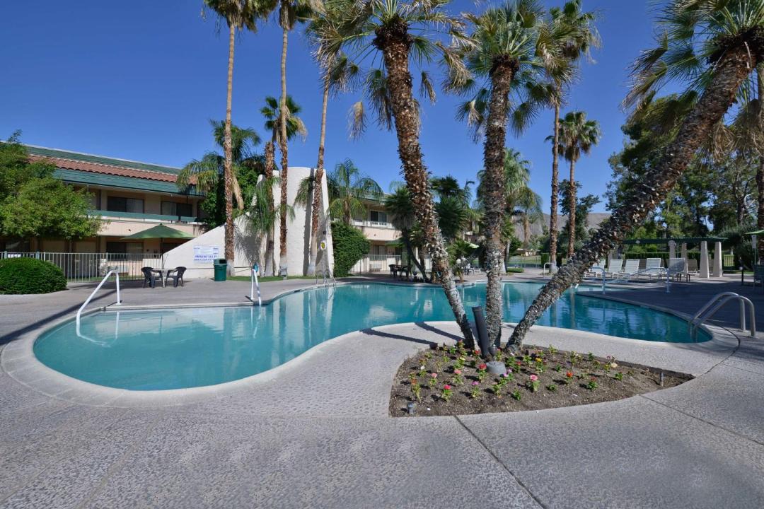 Photo of Others in Twin Palms