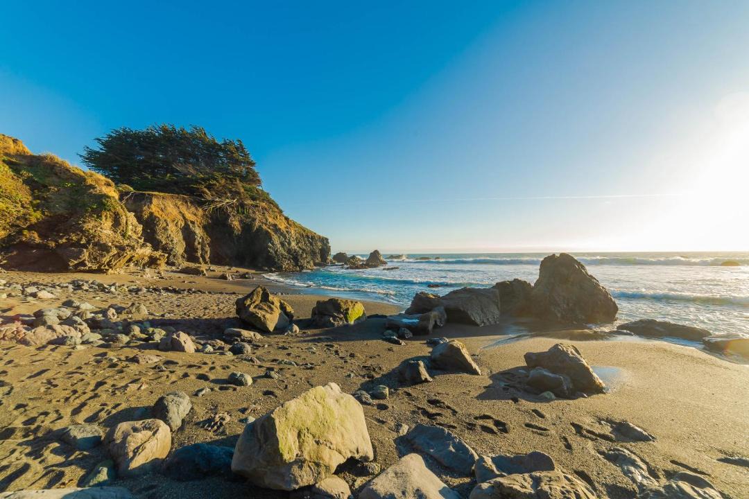 Photo of Others in Sea Ranch