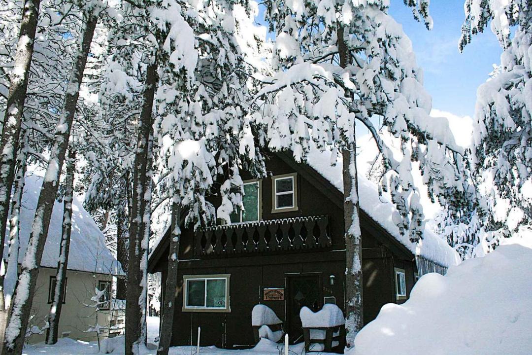 Photo of Buildings in Tahoe Island