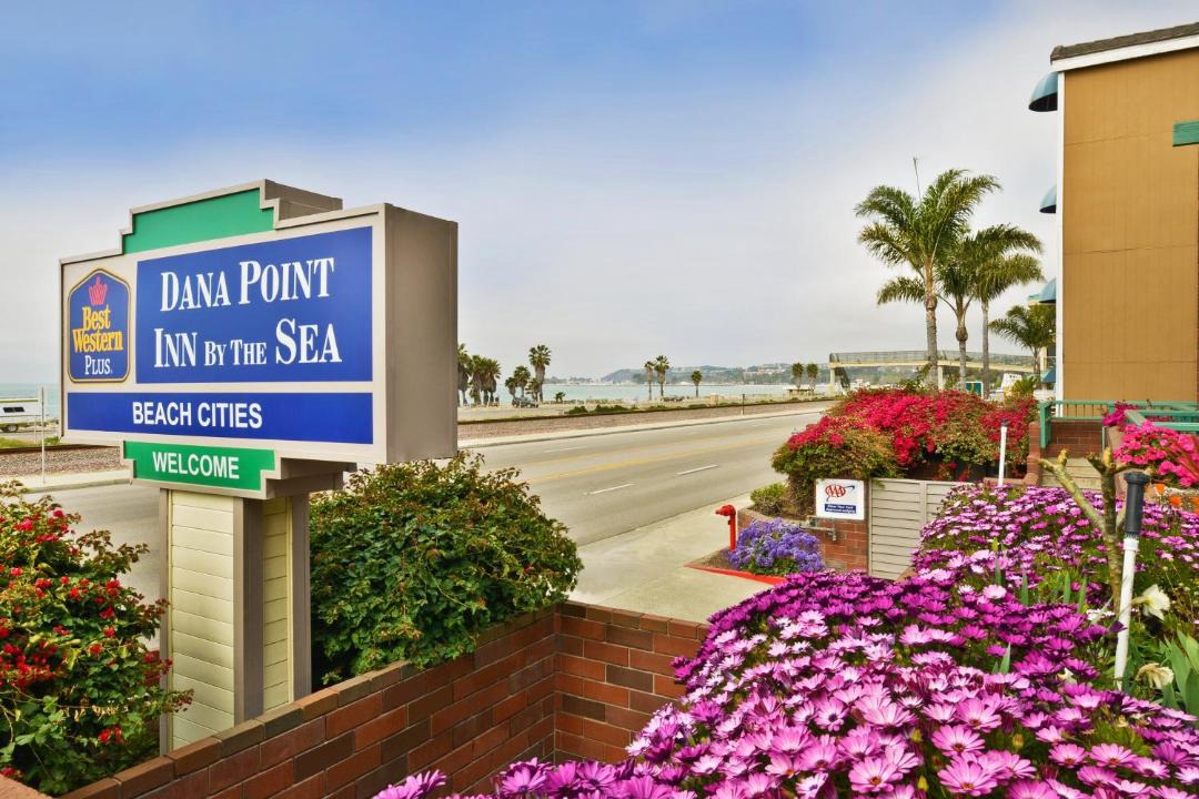 Photo of Others in Capistrano Beach