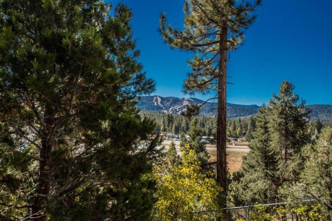 Photo of Outdoor in Whispering Forest