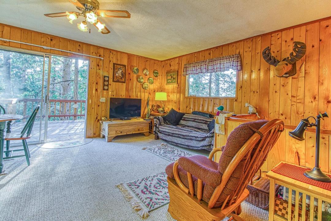 Photo of Livingroom in Idyllwild