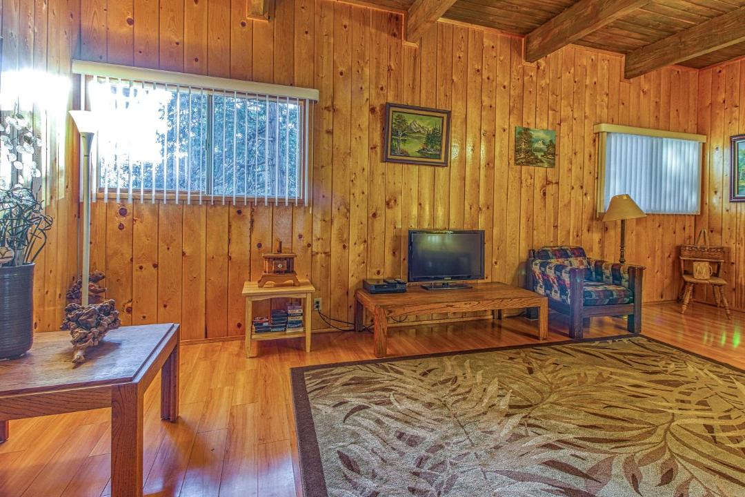 Photo of Livingroom in Idyllwild