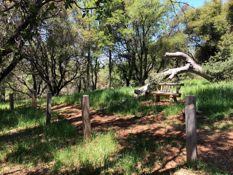 Photo of Others in Mariposa