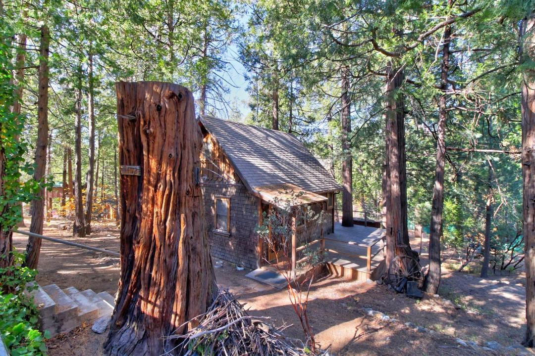 Photo of Others in Idyllwild