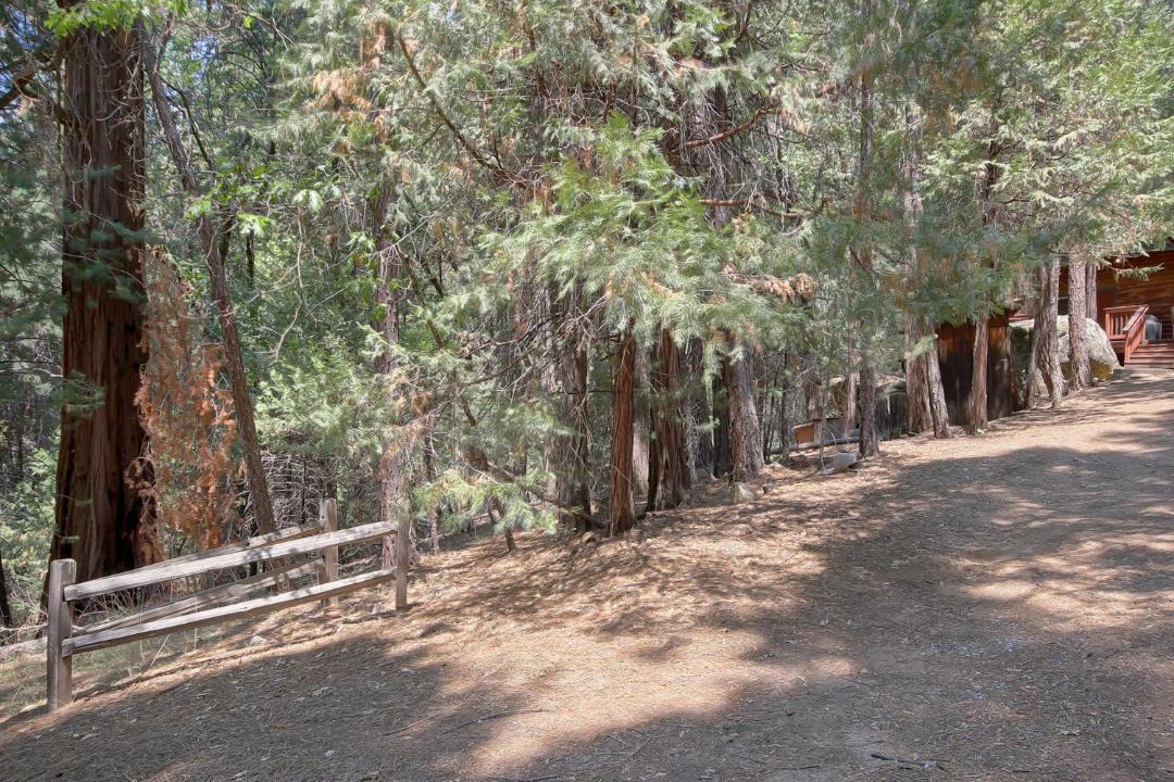 Photo of Others in North Wawona