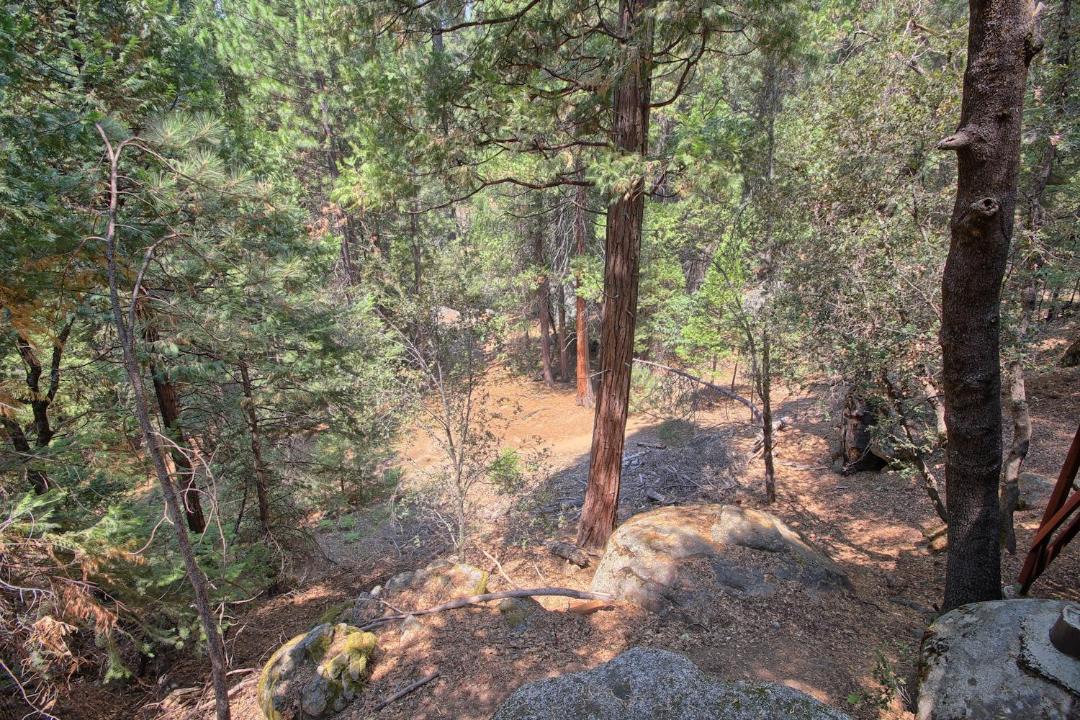 Photo of Others in North Wawona