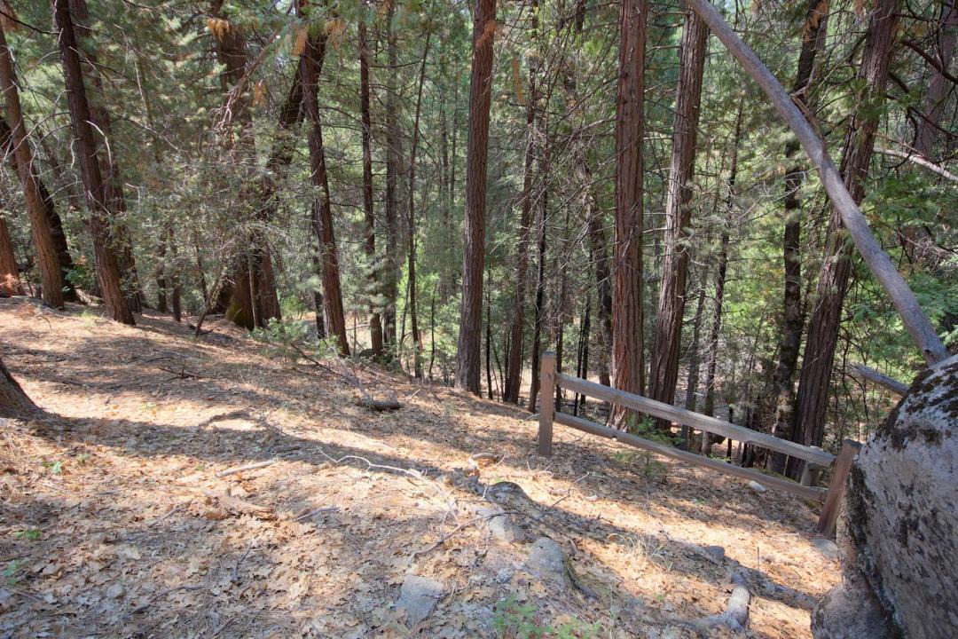 Photo of Others in North Wawona