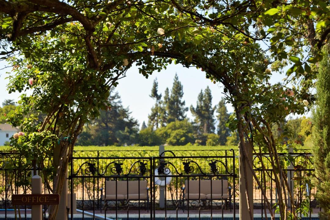 Photo of Others in St. Helena