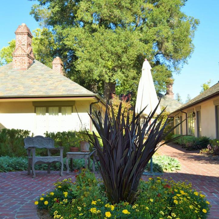 Photo of Others in St. Helena