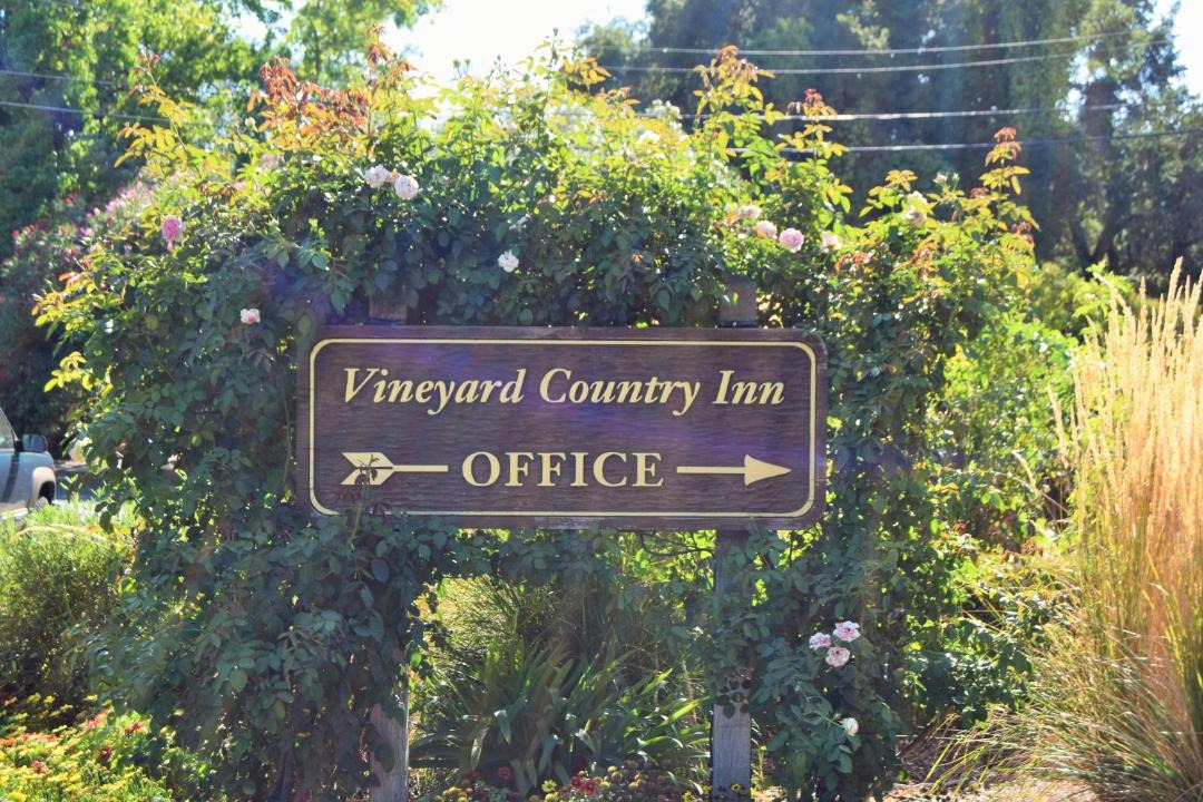 Photo of Others in St. Helena
