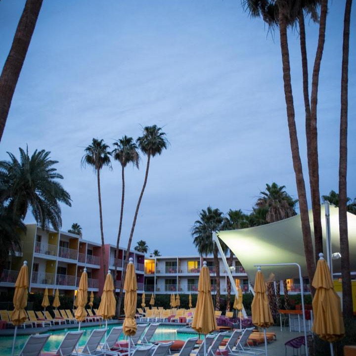 Photo of Others in Sonora Sunrise