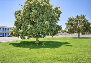 Motel 6-Fresno, CA - Blackstone North
