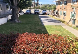 Ramada by Wyndham Torrance