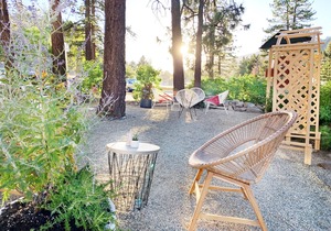 Grand Pine Cabins