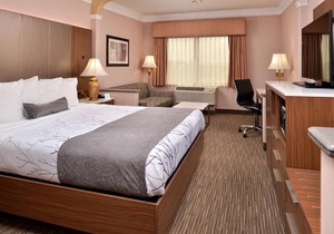 Best Western Plus Suites Hotel