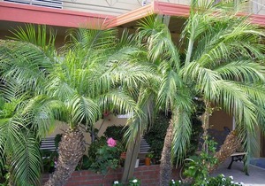 Fullerton Lodge