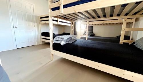 Bunk Bed in Mixed Dormitory Room