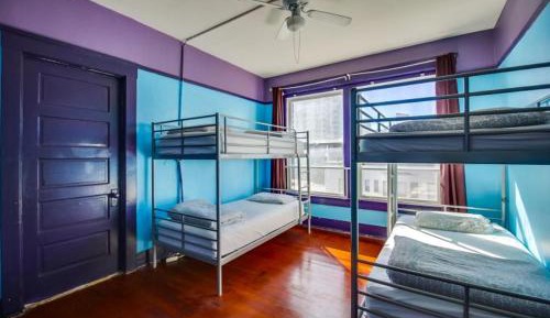 Bed in 4-Bed Mixed Dormitory Room