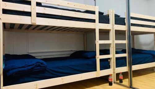 Bunk Bed in Mixed Dormitory Room
