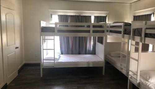 Bunk Bed in Mixed Dormitory Room