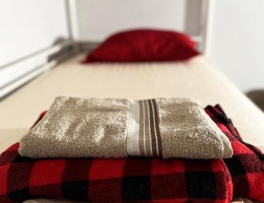 Bunk Bed in Mixed Dormitory Room