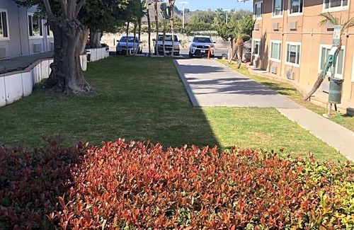 Torrance Hotel | Ramada by Wyndham Torrance