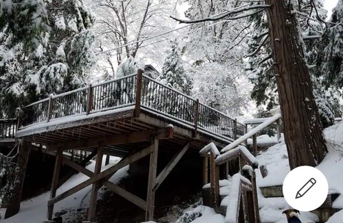 Cedar Glen Cottage | Lazy dog cottage, dog friendly Cozy cottage nestled in the trees n