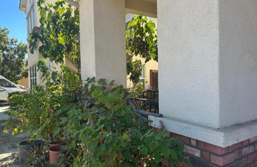 San Bernardino County House | Comfort vacancy