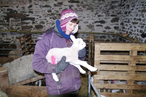 Ullathorns Farm